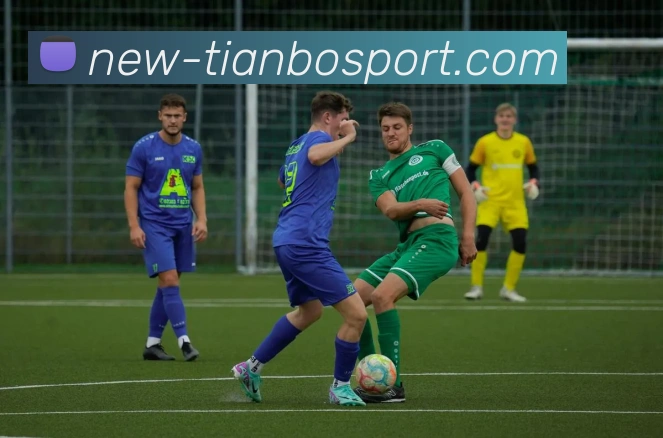 App Interface Preview